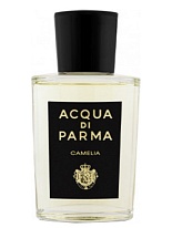 CAMELIA CAMELIA