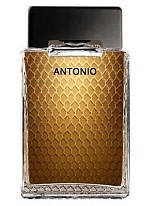 Antonio Antonio