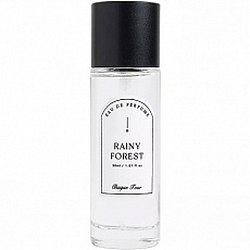 RAINY FOREST