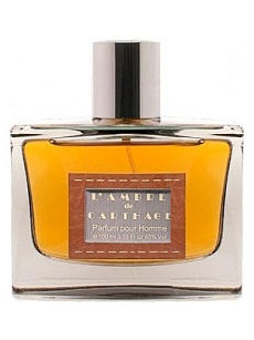 L'AMBRE de CARTHAGA