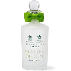 Blasted BLOOM
