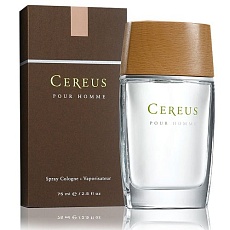 CEREUS No 4