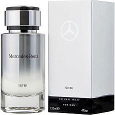 SILVER men