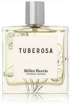TUBEROSA