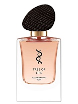 ILLUMINATING ROSE ILLUMINATING ROSE