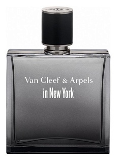 IN NEW YORK