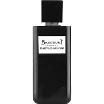 MAUVAIS GARCON MAUVAIS GARCON