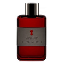 The Secret TEMPTATION   The Secret TEMPTATION