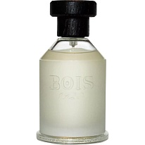 Youth MAGIA Youth MAGIA