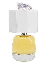 LUX VISIONARIA LUX VISIONARIA