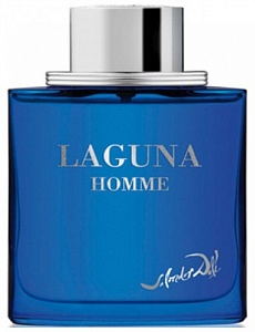 Laguna Pour Homme