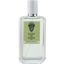 MENTHA CITRATA MENTHA CITRATA