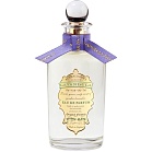 Lavandula