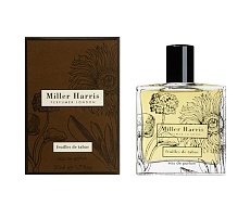 FEUILLES DE TABAC men