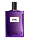 AMBRE