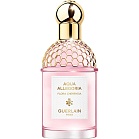 Aqua Allegoria Flora CHERRYSIA