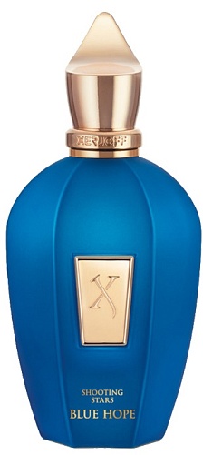 BLUE HOPE