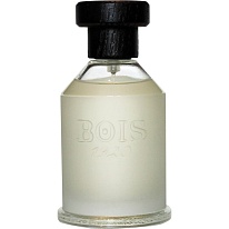 Youth ROSA Youth ROSA