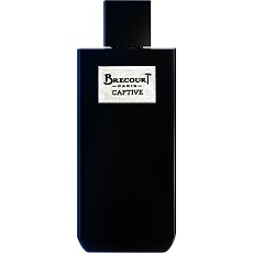 Brecourt  CAPTIVE
