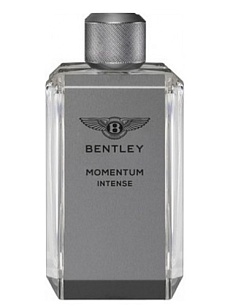 Momentum INTENSE  