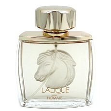 Pour Homme Equus