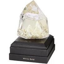 WHITE Goldskin WHITE Goldskin