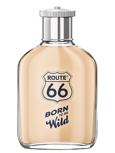  BORN TO BE WILD 