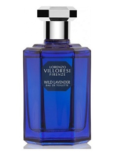 WILD LAVENDER