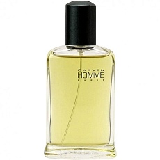 HOMME