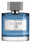 1981 INDIGO