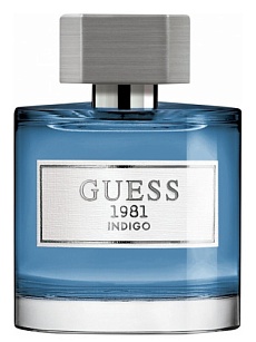 1981 INDIGO