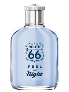 FEEL THE NIGHT