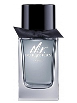 Mr. Burberry INDIGO   Mr. Burberry INDIGO