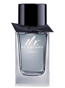 Mr. Burberry INDIGO  
