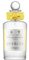 Quercus Cologne Quercus Cologne