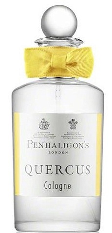 Quercus Cologne