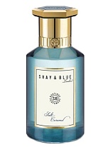 SALT CARAMEL SALT CARAMEL