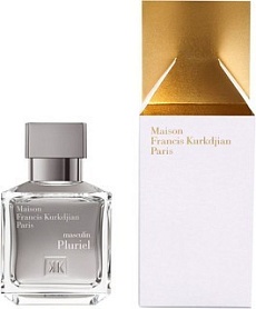 PLURIEL MASCULIN  