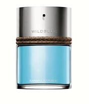 WILDBLUE WILDBLUE