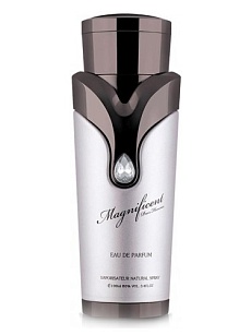 MAGNIFICENT POUR HOMME