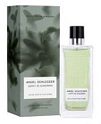 ESPRITde GINGEMBRE