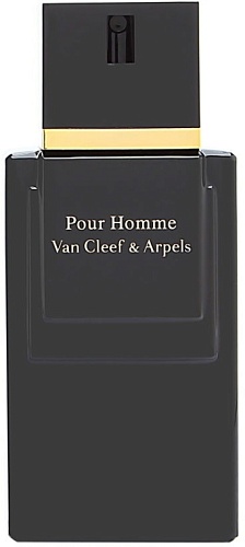 POUR HOMME