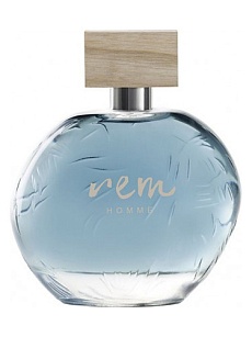 Rem HOMME