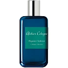 FIGUIER ARDENT