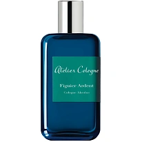 FIGUIER ARDENT FIGUIER ARDENT