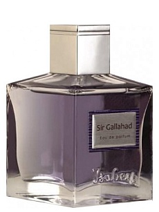SIR GALLANAD  